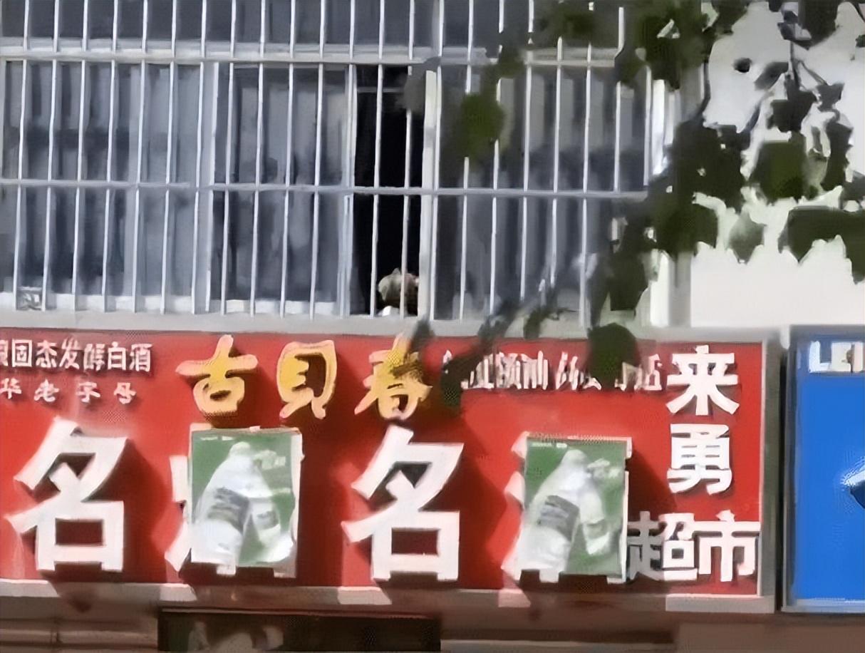 淘宝店铺招牌ps素材_店铺招牌图片素材_芊妃美店铺招牌图片