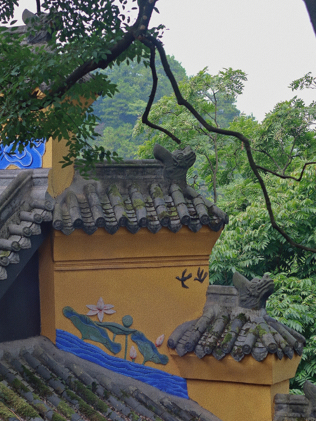 双林寺匾额_太和殿匾额复制_北大匾额京师大学堂牌匾北大招牌北京大学匾额