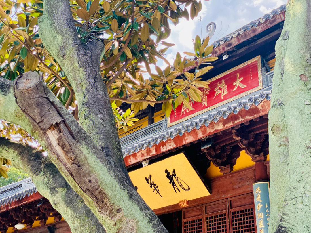 双林寺匾额_北大匾额京师大学堂牌匾北大招牌北京大学匾额_太和殿匾额复制