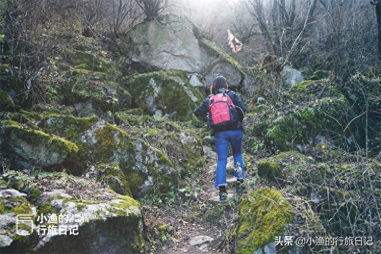 秦岭别墅匾额_秦岭别墅视频_秦岭别墅文物