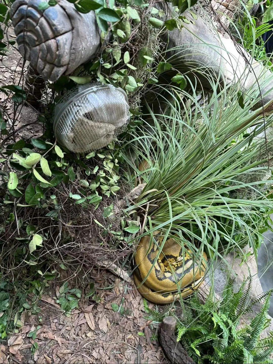 木牌小挂件图片_小木牌_木牌小精灵